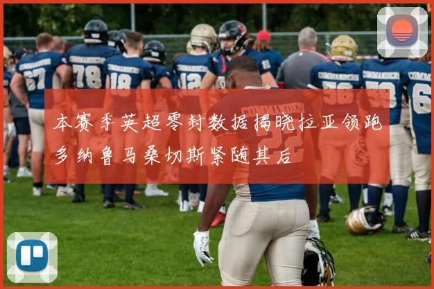 本赛季英超零封数据揭晓拉亚领跑多纳鲁马桑切斯紧随其后